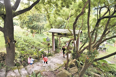 增城派潭鎮(zhèn)樟洞坑村環(huán)境優(yōu)美，風(fēng)景宜人。廣州日?qǐng)?bào)全媒體記者喬軍偉攝（資料圖片）