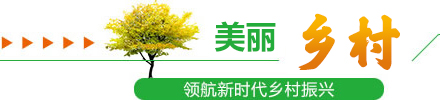 美麗鄉(xiāng)村