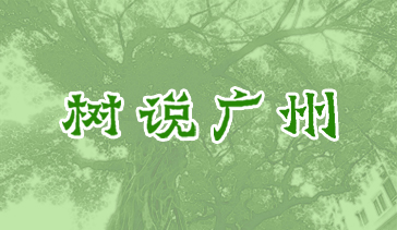 樹說廣州