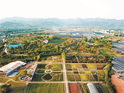 “美麗鄉(xiāng)村”西和村，瑰麗多彩的寶趣玫瑰世界花田。