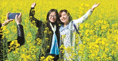 游客在花都油菜花田賞花。 廣州日報全媒體記者邱偉榮 攝