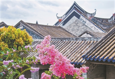 余蔭山房今夏已成紫薇花海。.jpg