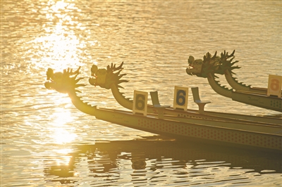 陽(yáng)光照耀水面,金光閃爍。