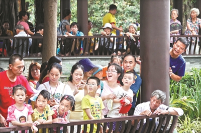 荔枝灣涌舉行“五月五·龍舟鼓” 系列活動(dòng),現(xiàn)場人山人海,熱鬧非凡。