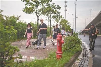馴犬師兵兵面對面指導(dǎo)主人正確遛狗。