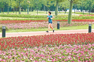 臨江大道鮮花綻放,成為市民健身休閑的好去處。