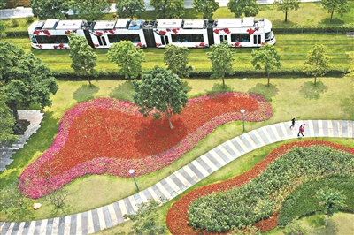 有軌電車串聯(lián)起海珠區(qū)一片生態(tài)美景。