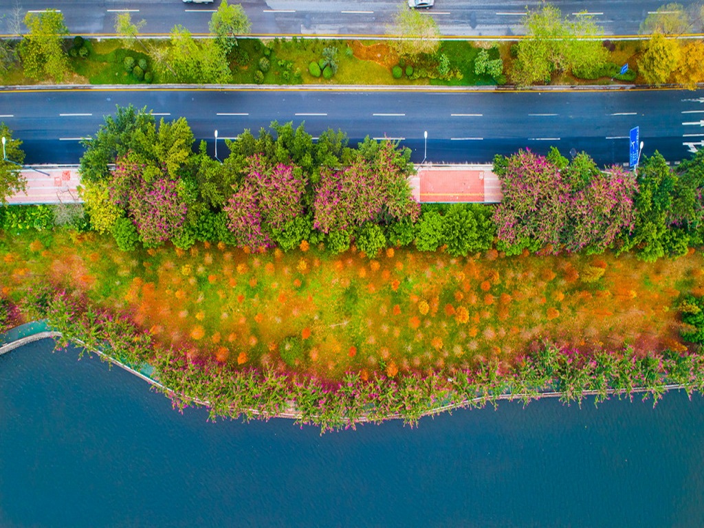 大觀濕地公園綠道