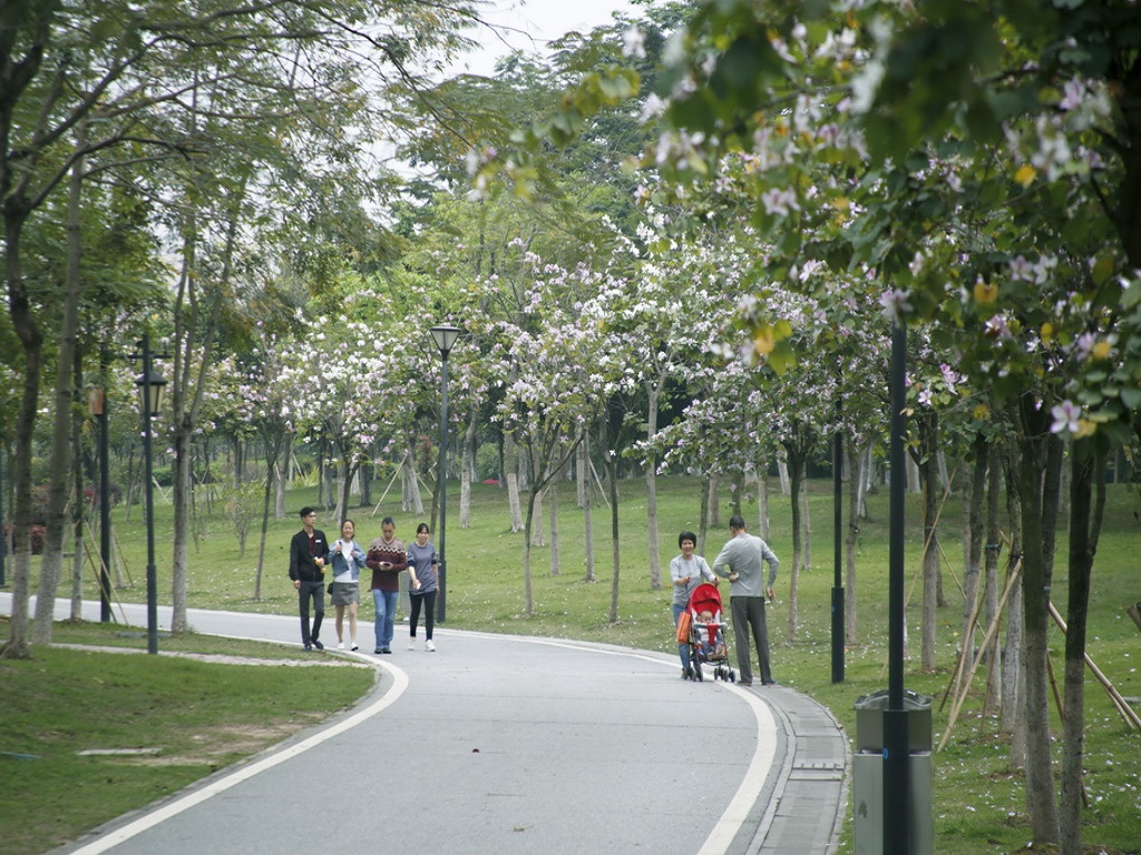 白云湖綠道