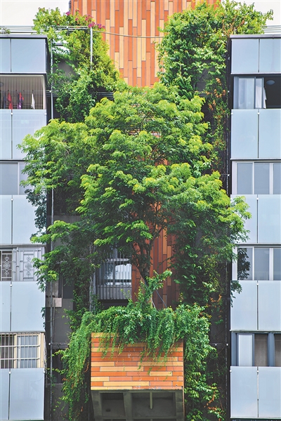 新式垂直綠化理念，不會(huì)讓植物完全遮蔽建筑，相反，設(shè)計(jì)師會(huì)留出對(duì)流風(fēng)口，讓建筑冬暖夏涼。1