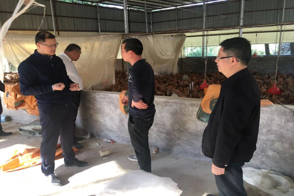 大灣區(qū)辦陳建榮常務(wù)副主任赴清遠(yuǎn)市調(diào)研廣清一體化高質(zhì)量發(fā)展.jpg