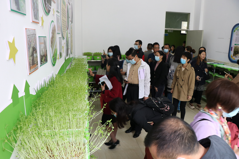 增江小學.jpg