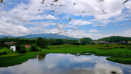 網(wǎng)站信息上報表單（3月1日）628.png
