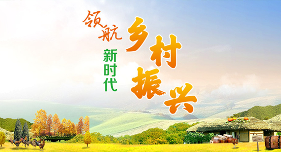 領(lǐng)航新時(shí)代鄉(xiāng)村振興