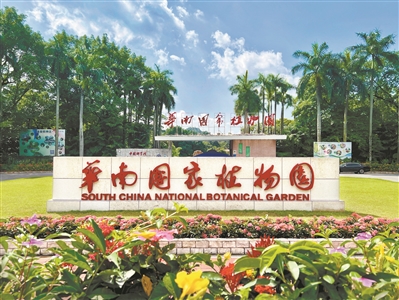 擦亮華南國(guó)家植物園這顆“綠寶石”