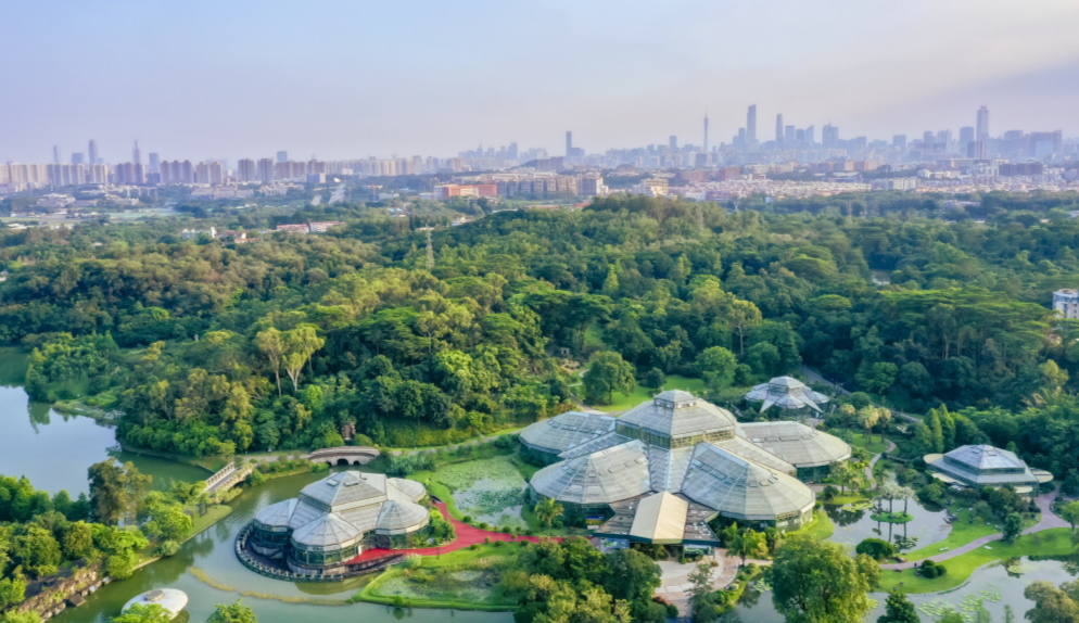 廣州市推進(jìn)華南國(guó)家植物園建設(shè)領(lǐng)導(dǎo)小組召開(kāi)會(huì)議