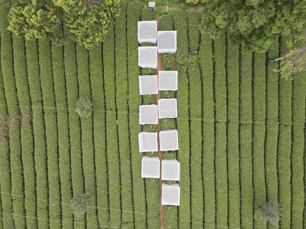 “植”根科研 青春“園”夢