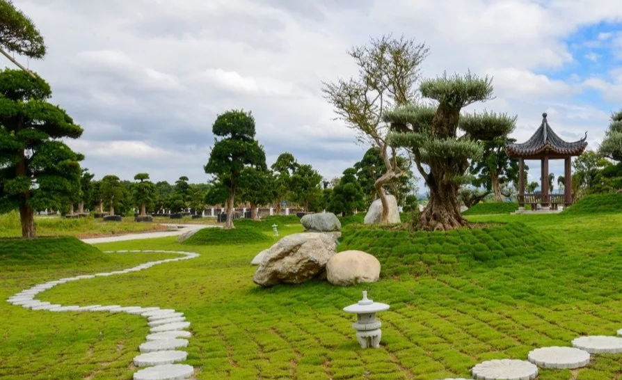 花都區(qū)：竹洞村