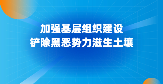 加強基層組織建設 鏟除黑惡勢力滋生土壤