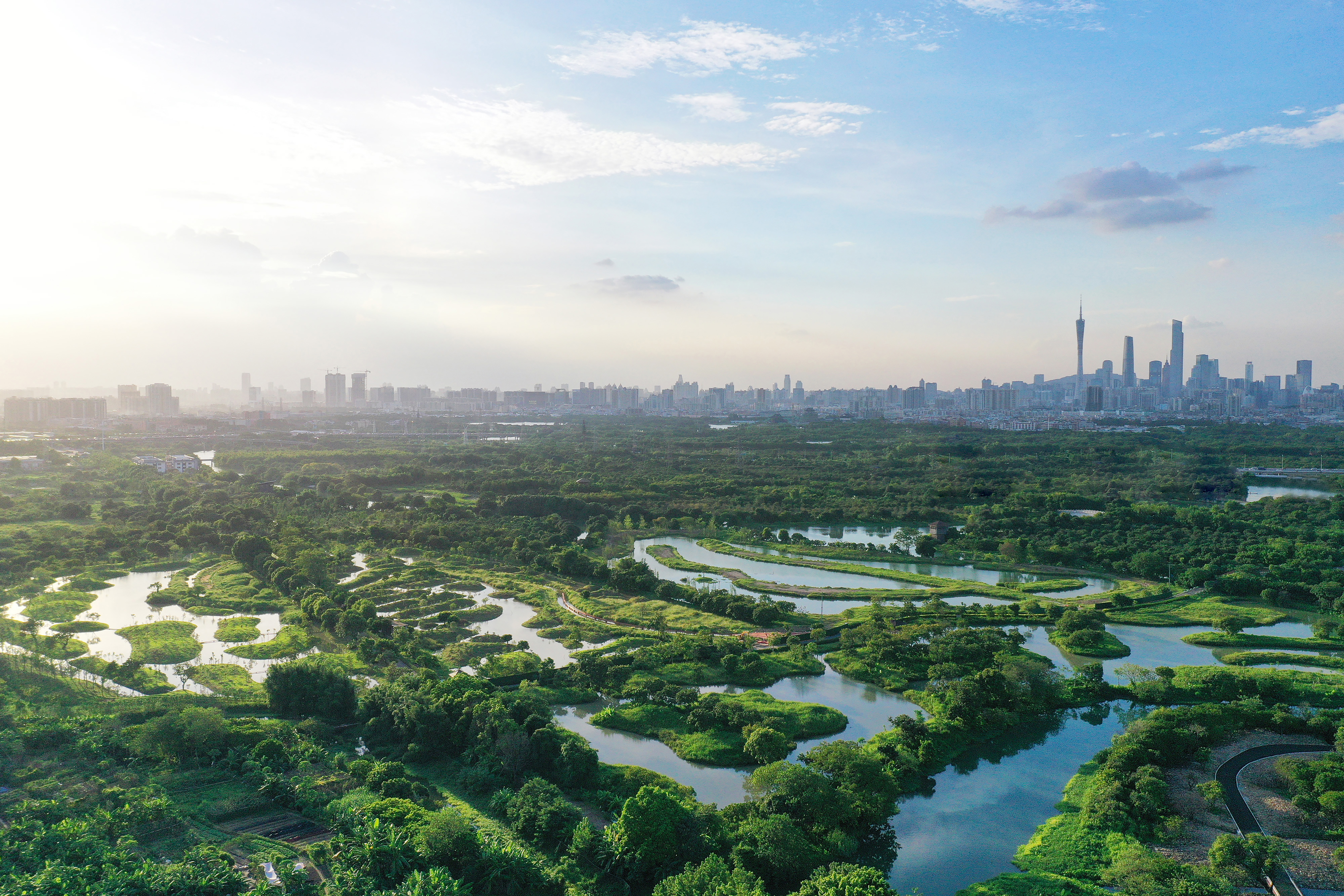 華南國家植物園被評為首批廣東省環(huán)境教育基地示范單位