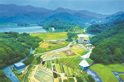 廣州大力促進農(nóng)業(yè)生產(chǎn)要素在空間上配置優(yōu)化 實現(xiàn)各區(qū)錯位發(fā)展優(yōu)勢互補