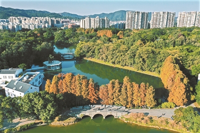 打造國際一流植物園 華南國家植物園將爭取更多國際話語權(quán)