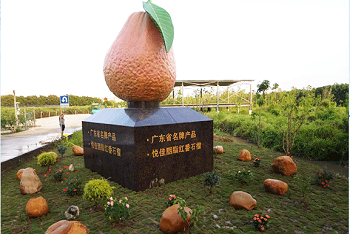 番禺區(qū)：佳碩農(nóng)場農(nóng)業(yè)公園