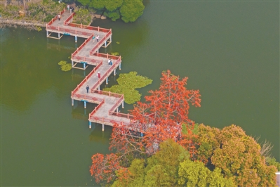 東山湖由義務(wù)建設(shè)而成