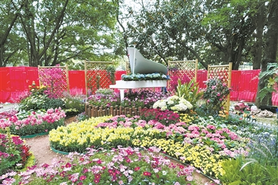 漫步嶺南園林 共賞花容粵貌