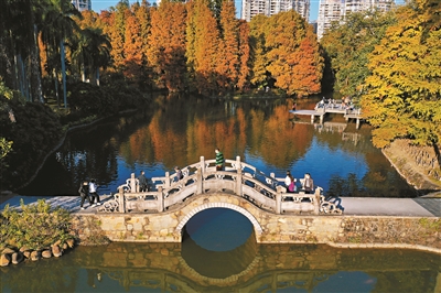 綠美廣州 春色滿“園”關(guān)不住