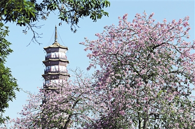 “三塔”輝映廣交會展館 見證廣州“海絲”乘風破浪