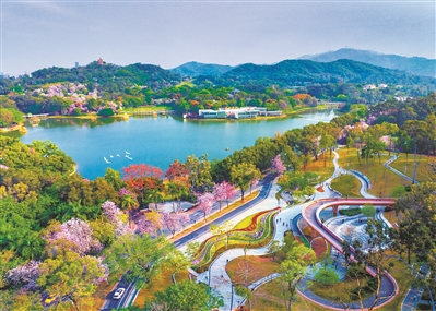 廣州市生態(tài)環(huán)境局黨組書記、局長楊柳：久久為功建設(shè)美麗廣州