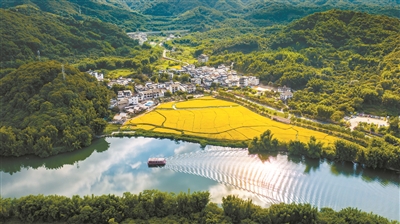 廣州市委農(nóng)辦主任，市農(nóng)業(yè)農(nóng)村局黨組書記、局長(zhǎng)李世通：奮力書寫中國(guó)式農(nóng)業(yè)農(nóng)村現(xiàn)代化的“廣州答卷”