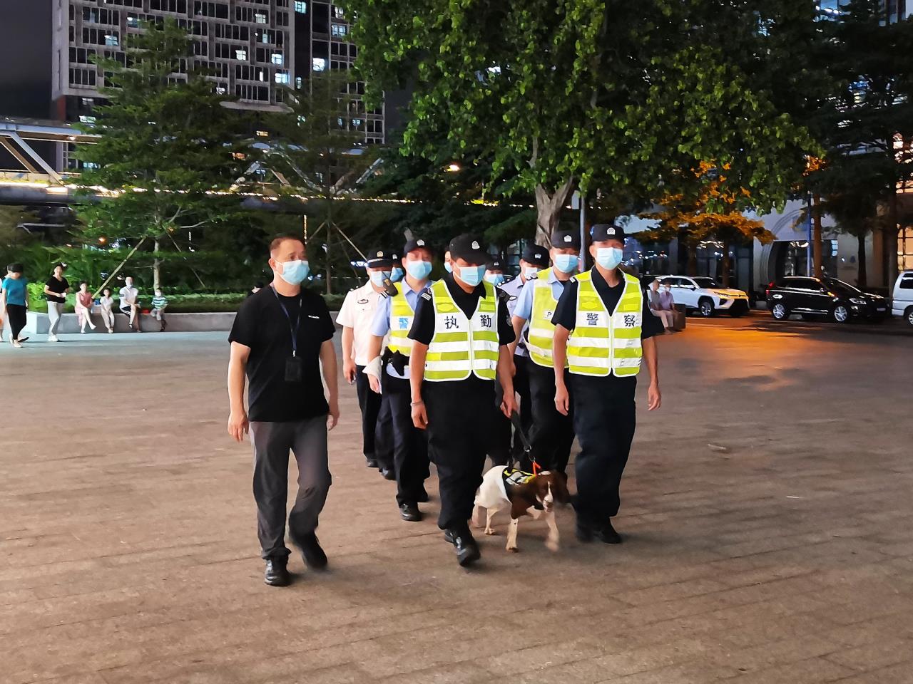 廣州警方“鷹擊5號”專項行動：繳獲毒品及易制毒化學(xué)品約6.7噸