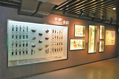 廣州木本花卉專類植物展示園成立