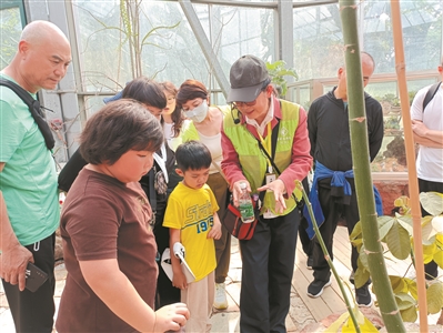 華南國家植物園志愿者“招新”
