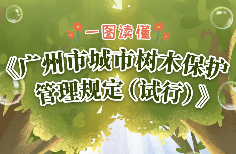 【一圖讀懂】《廣州市城市樹木保護(hù)管理規(guī)定（試行）》