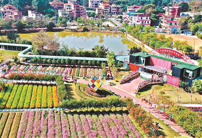 增城區(qū)大埔圍村：產(chǎn)業(yè)帶動(dòng)鄉(xiāng)村振興 創(chuàng)建最紅最美鄉(xiāng)村