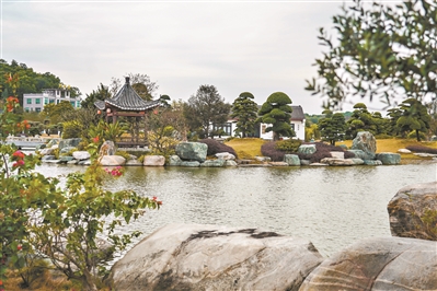 花都區(qū)竹洞村：打造鄉(xiāng)村美麗生態(tài) 壯大鄉(xiāng)村集體經(jīng)濟(jì)