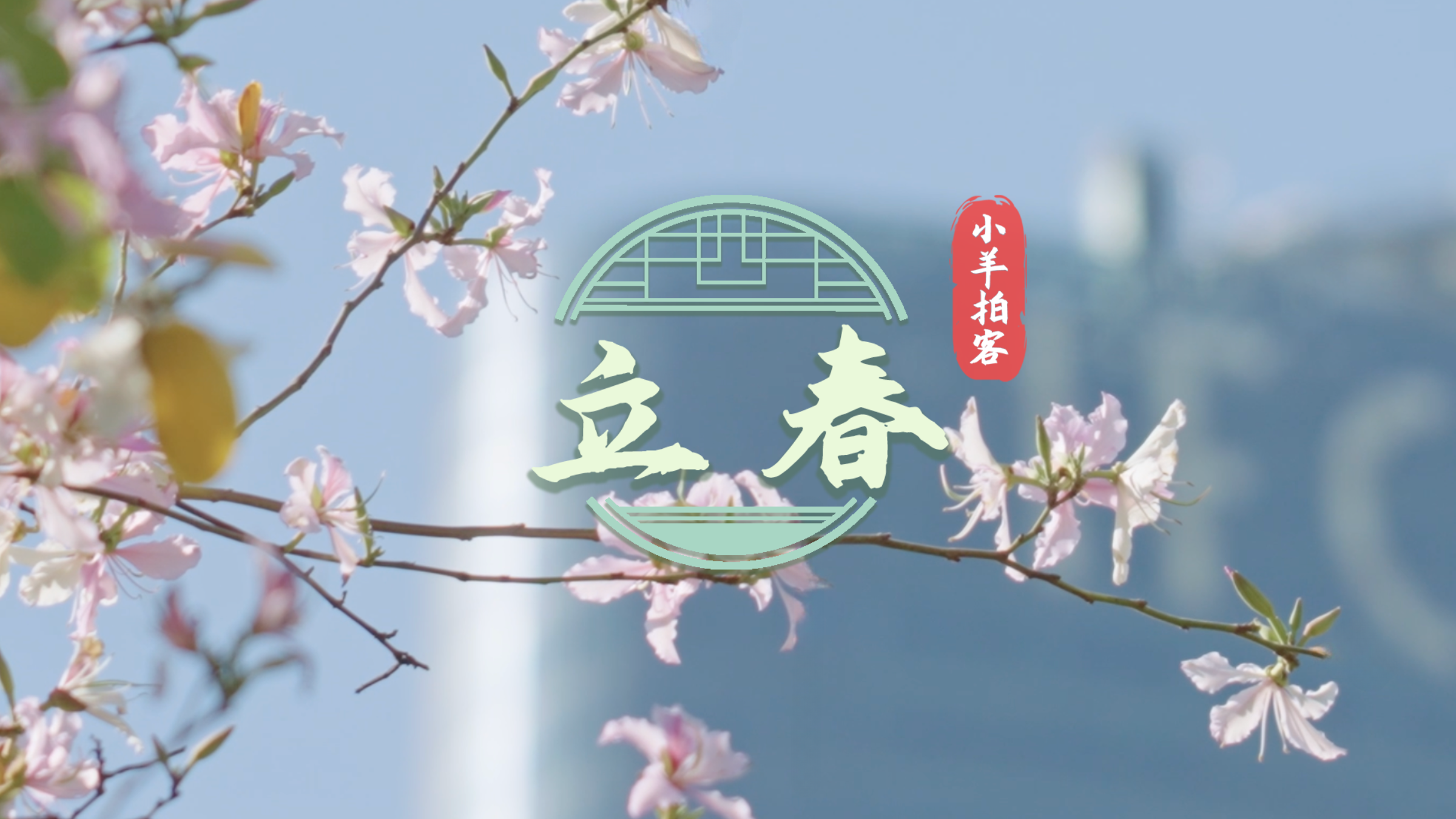 立春，花開嶺南待客來