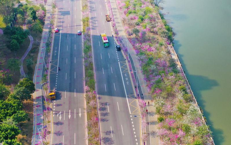 荔灣區(qū)水秀一路綠道