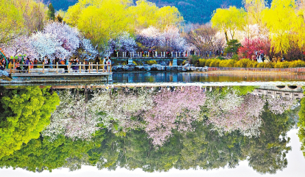 春天的對話 國家植物園“連線”華南國家植物園