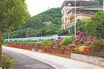 道路綠化大提升 和美鄉(xiāng)村換新顏