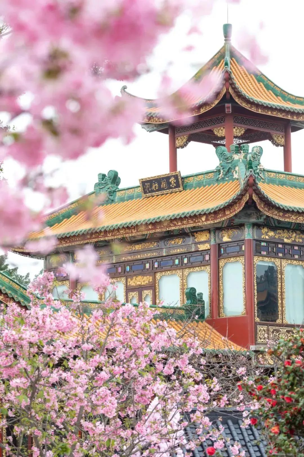 圖片
