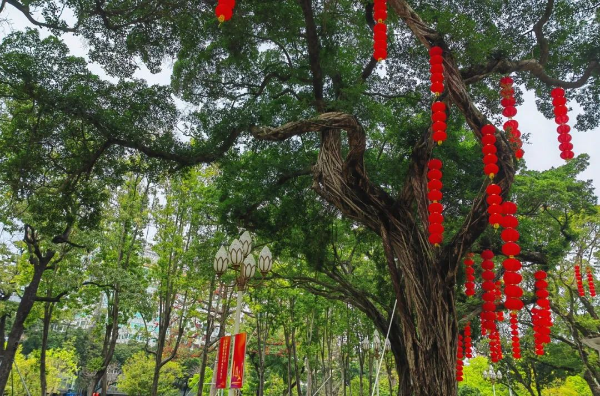 圖片