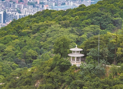 廣州市開展紅棉老兵生態(tài)林建設(shè)活動