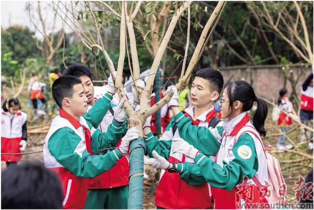 在廣州海珠國(guó)家濕地公園二期，前來(lái)參與公益植樹(shù)活動(dòng)的市民群眾絡(luò)繹不絕。