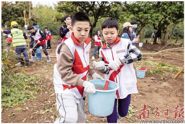 在廣州，群眾愛(ài)綠護(hù)綠蔚然成風(fēng)。