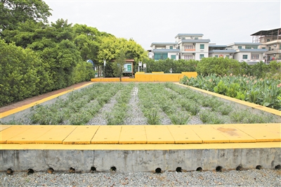 廣州將農(nóng)村生活污水治理作為建設(shè)宜居宜業(yè)和美鄉(xiāng)村的“切入點(diǎn)”