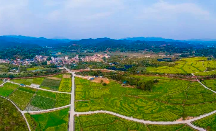 增城中新鎮(zhèn)2個(gè)案例入選廣州市基層黨建“雙百”案例